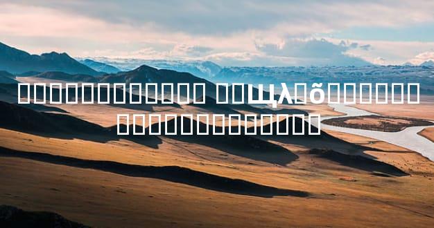 �����������ȫ ��Щλ�õ����������Ƣ��������